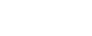 ProFlyt Logo